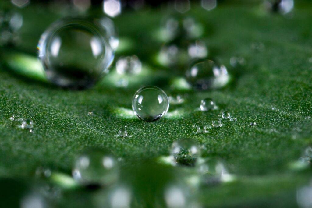Macro close-up of clear water droplets on a surface in soft light