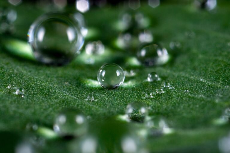 Macro close-up of clear water droplets on a surface in soft light