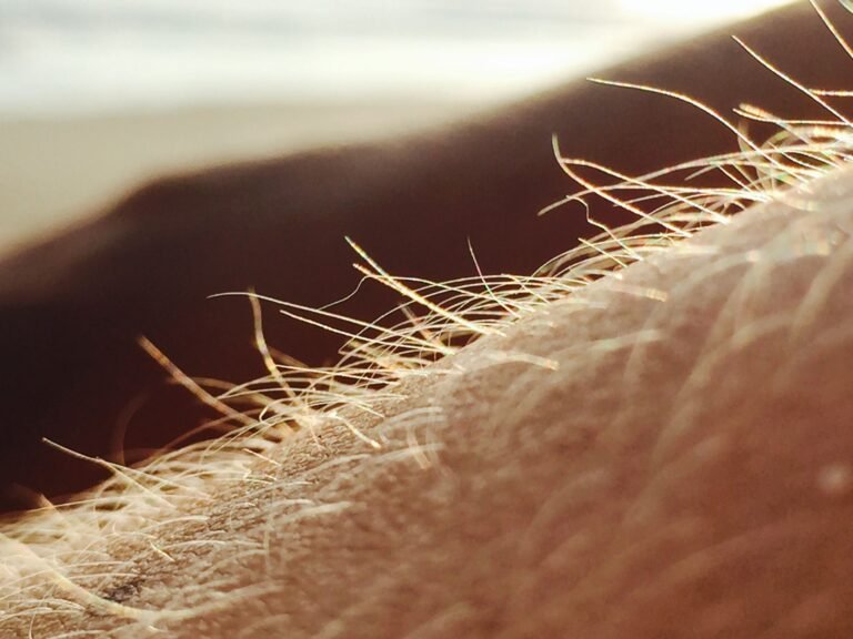 Warm sunlight highlighting the fine texture of human skin